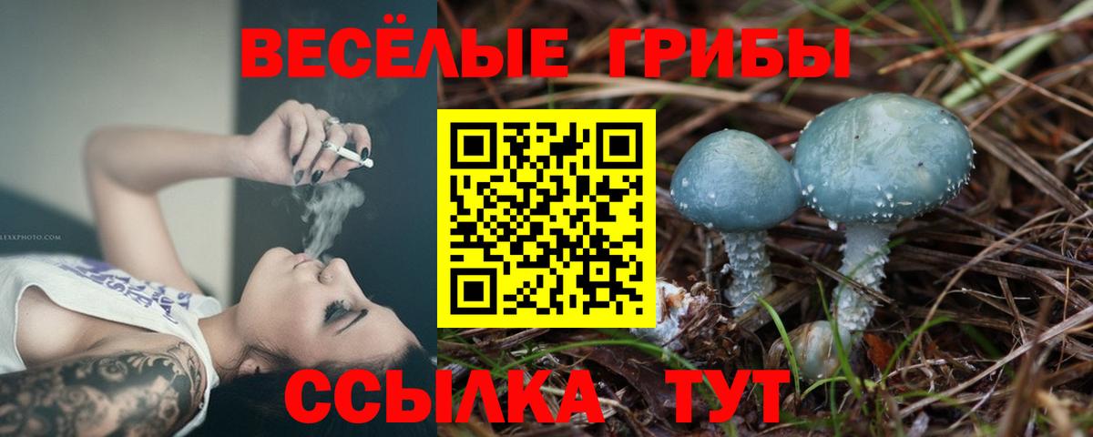 Псилоцибиновые грибы ЛСД  Вход с VPN  Тула 